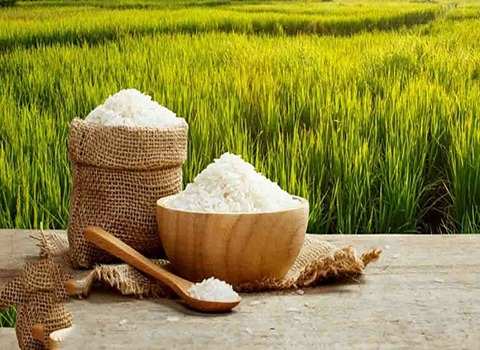 فروش برنج ایرانی شمال + قیمت خرید به صرفه